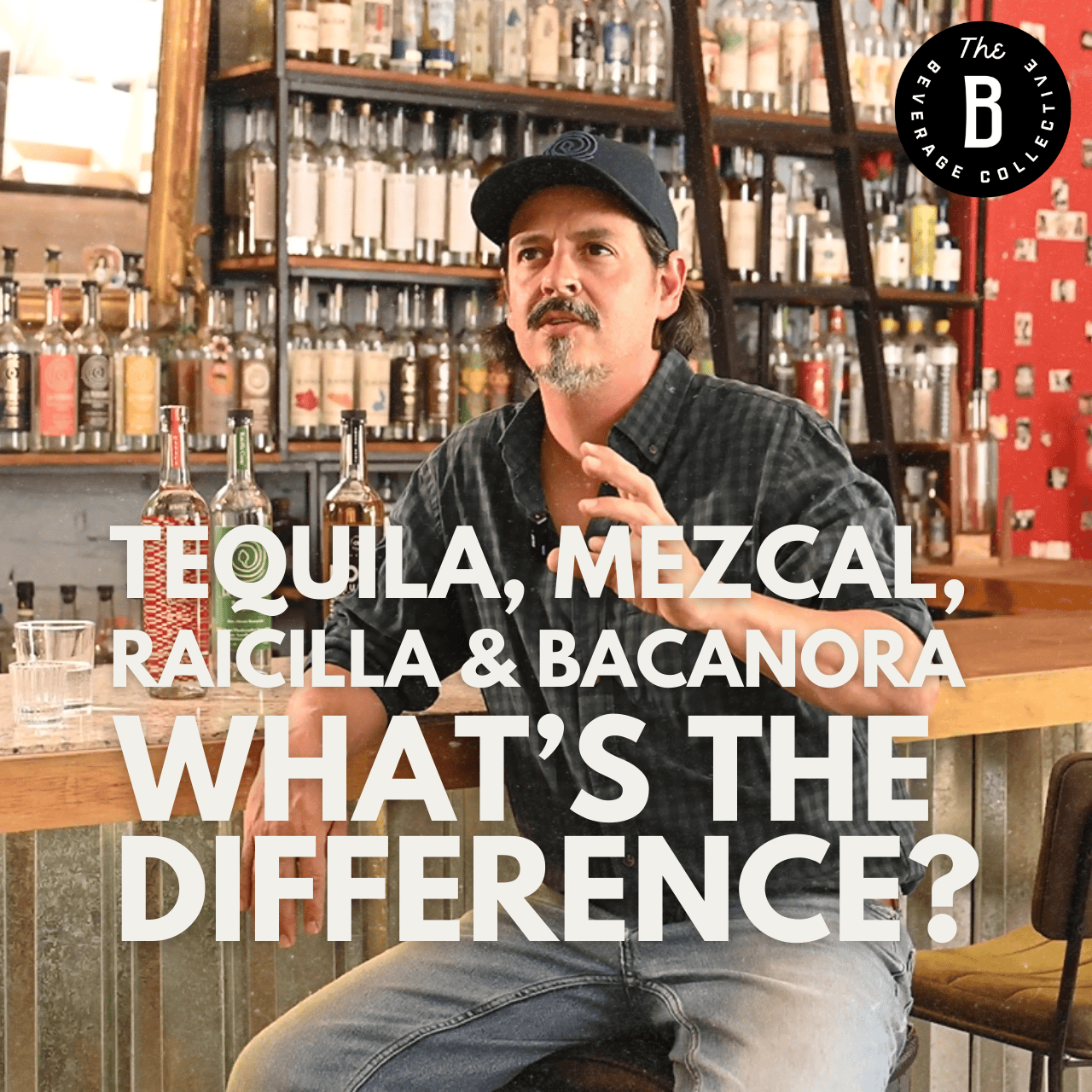 Tequila, Mezcal, Raicilla y Bacanora | ¿Cuál es la Diferencia?