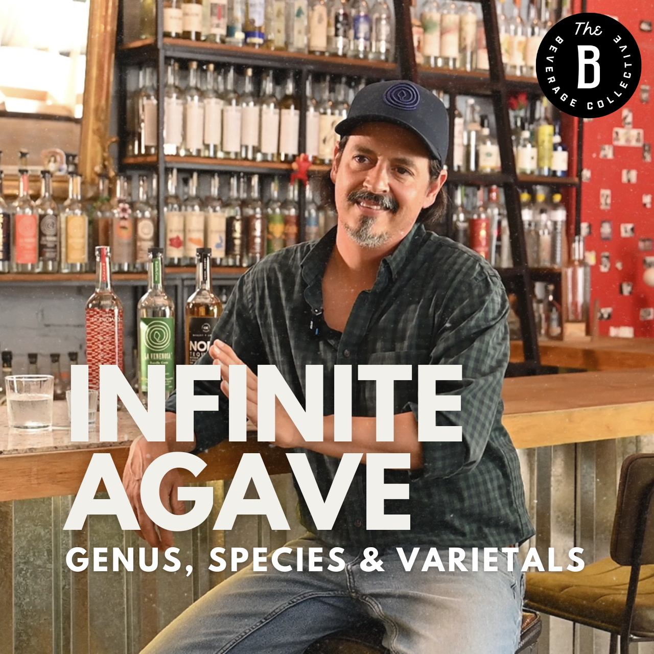 Infinite Agave | Genus, Species & Varietals Explained