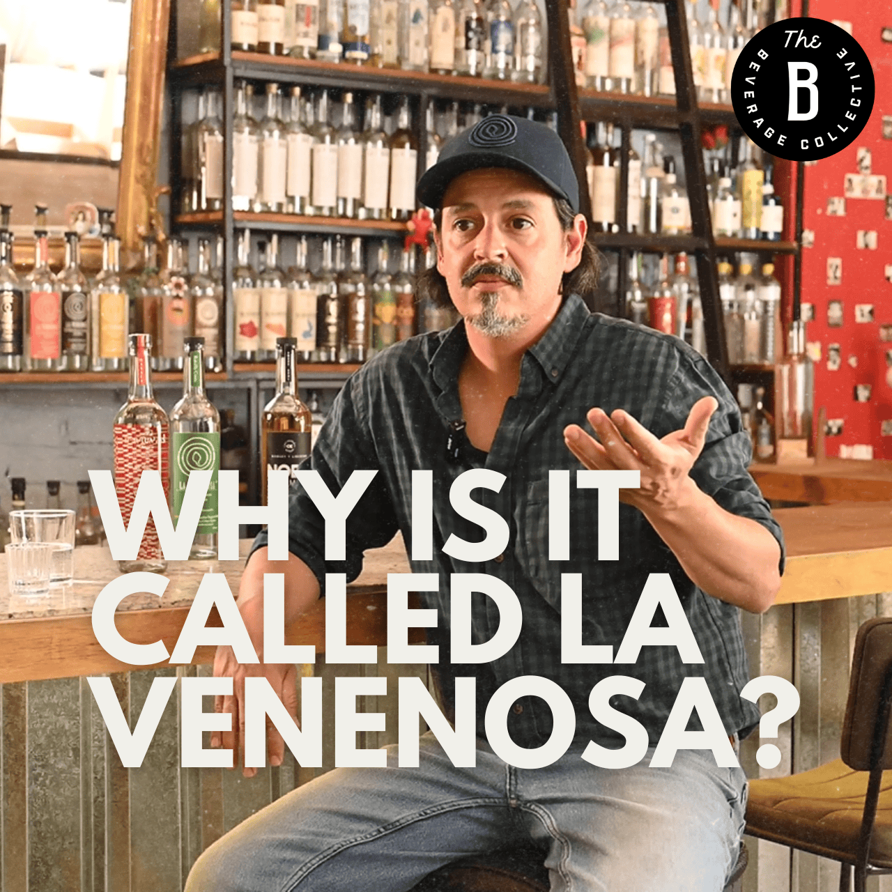 Why Is It Called La Venenosa? | The Story Behind the Name